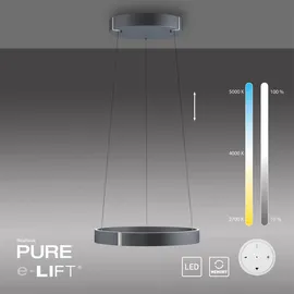 neuhaus pure E-Clipse 2xLED-Board/20W 50 cm rund grau