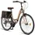licorne bike gmbh Stella Plus 28 Zoll RH 0 cm Unisex gold
