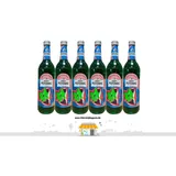 NORDBRAND "PFEFFI SELFIE EDITION" PFEFFERMINZLIKÖR alc. 18% vol. 6x0,7L MUND
