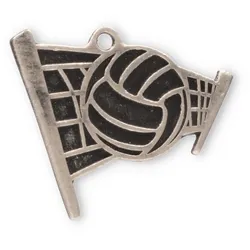 Motivmedaille Volleyball silberfarben
