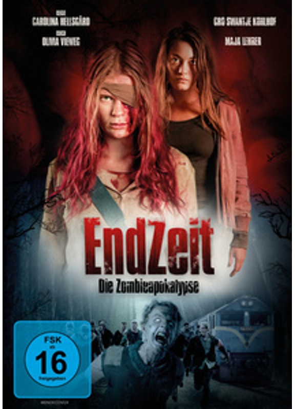Endzeit (DVD)