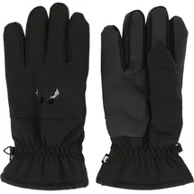 Whistler Wasio Fingerhandschuhe Schwarz M