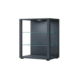 Vitrine , grau , Maße (cm): B: 52 H: 60