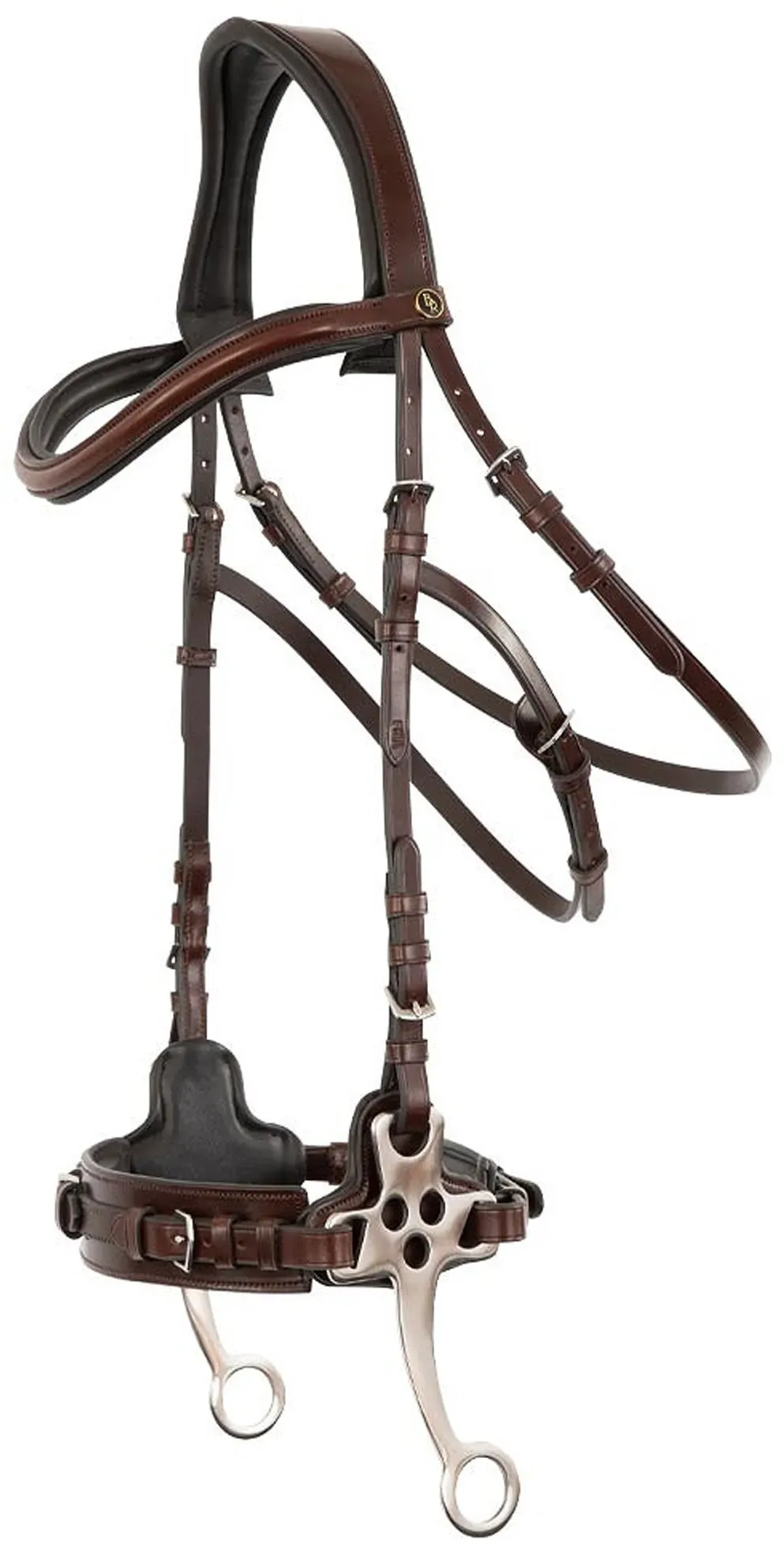 BR Lydney anatomisches Hackamore