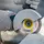 Bosch X-LOCK Trennscheibe Standard for Universal 125 mm 2 Stück