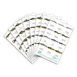 Dive Sticker Deutschland Süsswasser