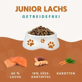 Wildfang Junior Trockenfutter mit Lachs 6 kg