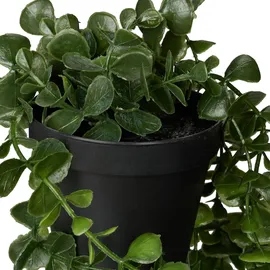 Relaxdays künstliche Hängepflanzen im 2er Set, hängende Kunstpflanzen im Topf, Kunsteukalyptus wie echt, grün/schwarz