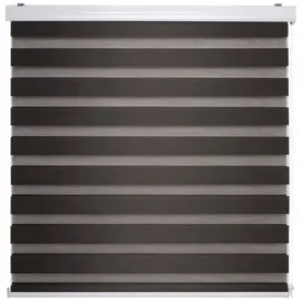 LIEDECO Duo-Rollo 100 x 160 cm Espresso