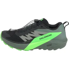 Salomon Sense Ride Herren Black/Laurel Wreath/Green Gecko 41 1/3