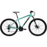 Bikestar Mountainbike, 21 Gang, Shimano, RD-TY300 Schaltwerk, Kettenschaltung, 37917511-48 grün Hardtail
