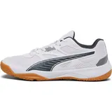 Puma Solarflash II puma white-shadow/ gray-gum 44,5