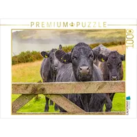 Calvendo Puzzle Kühe im Exmoor Nationalpark | Lege-Größe cm