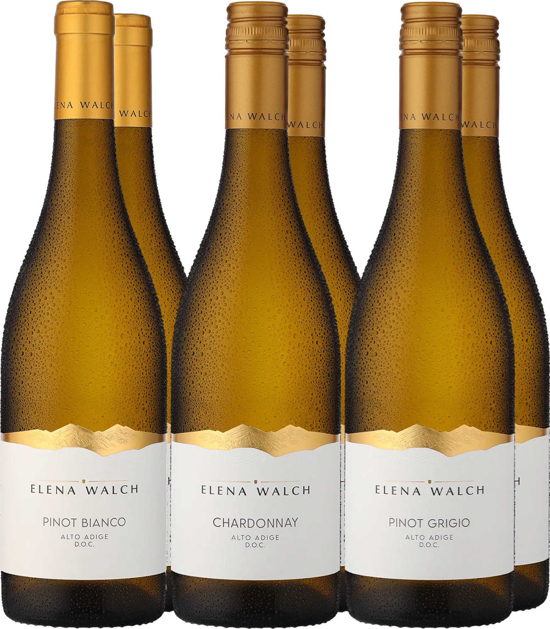6er-Probierpaket »Elena Walch Highlights«