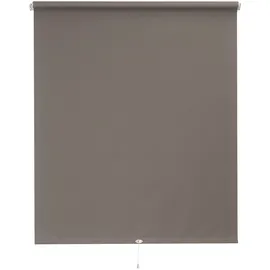 SUNLINES Springrollo Uni 82 x 180 cm grau/weiß