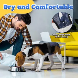 luxuskollektion 2er Pack Wiederverwendbare Läufigkeitshose Verstellbar