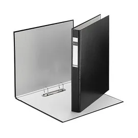 Leitz Ringbuch DIN A4 25 mm Schwarz 1 St.