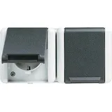 Jung Schuko-Steckdose 2-fach Grau