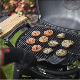 WEBER Q 2200 mit Stand schwarz
