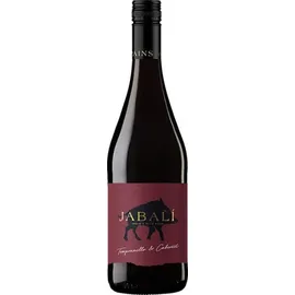 Virgen del Aguila Jabali Tempranillo-Cabernet 2024