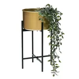 DanDiBo Ambiente Blumenhocker mit Topf 50 x 50 cm Gold Schwarz
