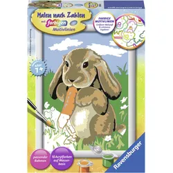 Malen nach Zahlen RAVENSBURGER "Knuddelhäschen", bunt, Malvorlagen, KinderB:13cm H:18cm, Made in Europe, B:13cm H:18cm