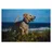 Livepac-Office Schreibtischunterlage 38,5x58,5cm / mit Hundemotiv