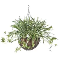 Homescapes hängende Kunstpflanze, künstliche Hängepflanze Chlorophytum Comosum im Korb