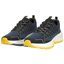 Jack Wolfskin Wild Hike Low Schuhe (Größe 47, blau)