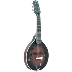 Gold Tone A-6 Gitarrenmandoline mit Korpus im A-Stil, inklusive Tasche