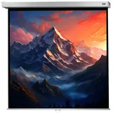 Celexon Rollo Professional Plus 200x200 1:1