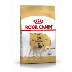 Royal Canin Adult Mops Hundefutter 2 x 7,5 kg