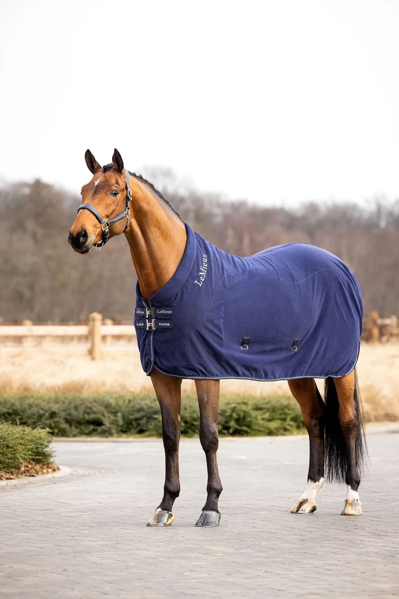 LeMieux Kudos Fleece-Abschwitzdecke