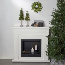 Star Trading Baum Lummer - Star Trading