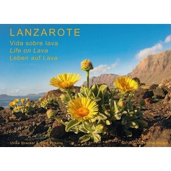 Lanzarote - Leben auf Lava