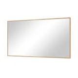 VOSS Spiegel V100 ¦ B/H ca. 119,00x62,00