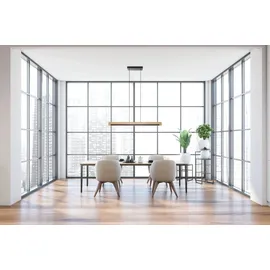 EGLO Led Pendelleuchte Camacho Natur-Schwarz