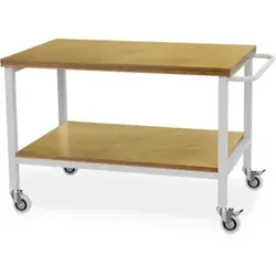 Bedrunka+Hirth Transportwagen mit 2 Buche-Multiplexplatten BxTxH 1200x750x859 mm