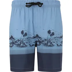 Cruz Boardshorts Hector BLAU L