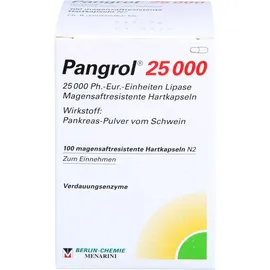BERLIN-CHEMIE Pangrol 25000