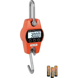 Steinberg Systems Hängewaage - 300 kg / 0,1 kg - LCD - digital