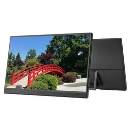 JAPANNEXT JN-MD-I156F-T-LE 16"