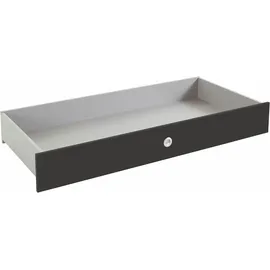 WIMEX Schubkasten WIMEX "Easy", grau (graphit), B:137cm H:19cm T:58cm, Holzwerkstoff, Schubladen, Schubkasten, auf Rollen, praktische Ergänzung für Wimex Betten "Easy"