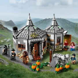 LEGO Harry Potter Hagrid's Hütte: Seidenschnabels Rettung 75947