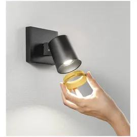 Fabas Luce Modo 1x35W schwarz Aluminium