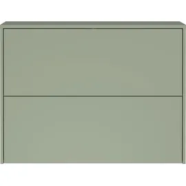 Germania Binetto 99 x 74 x 27 cm Schuhschrank mit Push-to-open Technik / grün