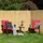 Sol Royal SolVision B89 Sichtschutz Bambus 300 x 100 cm