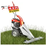 Hecht Balkenmäher mit Antrieb, 587, 3,6 kW / 4,9 PS, 87 cm Arbeitsbreite, 8 mm Schnittstärke, bis 3km/h, Schnitthöhenverstellung von 30–80 mm rot