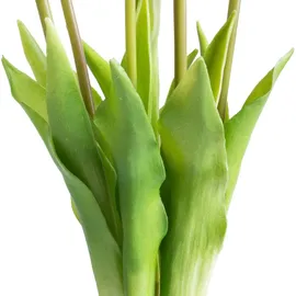OTTO home Kunstpflanze Maiva Tulpe, OTTO home, Höhe 47 cm, Tulpenbündel im 7er-Set rosa