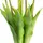 OTTO home Kunstpflanze Maiva Tulpe, OTTO home, Höhe 47 cm, Tulpenbündel im 7er-Set rosa